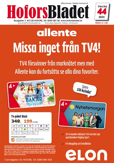 en bild