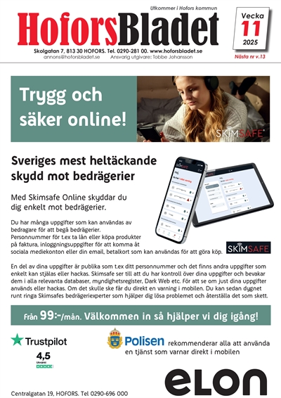 en bild